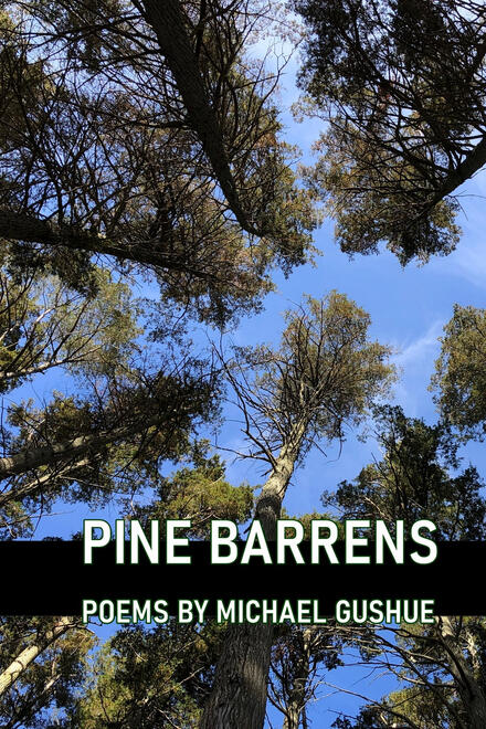 Pine Barrens by Michael Gushue