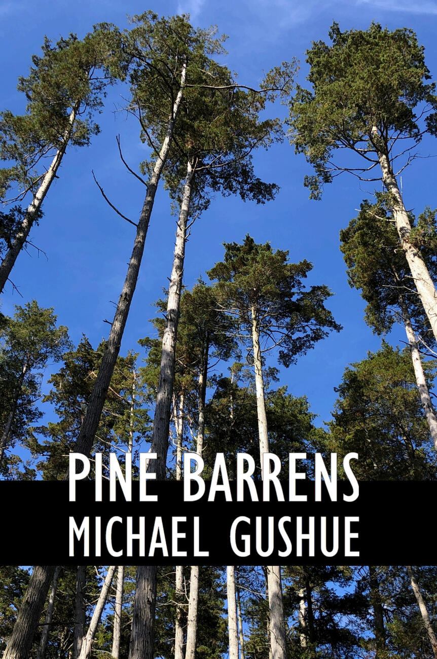 "Extra Focus" is a practical, compassionate guide to thriving with adult ADHD. Written by someone with personal experience, it offers strategies for motivation, habits, energy management, time estimation, memory, and coping with challenges. This warm, down
